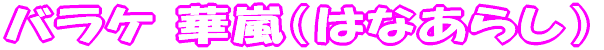 �_�C���y�ւ�a�{�܁z�V���i �_���S�� �Ɂ��o���P �ؗ� 