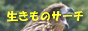 サイト「生きものサーチ」のバナー