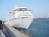 [DSC06918.JPG]