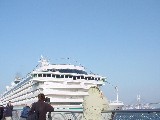 [DSC06926.JPG]