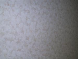 ʏ