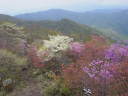 山頂(北方面)