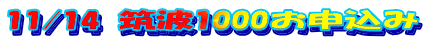 2��16���x�m�V���[�g���s��U���gUP���܂���