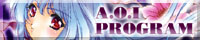 A.O.I PROGRAM